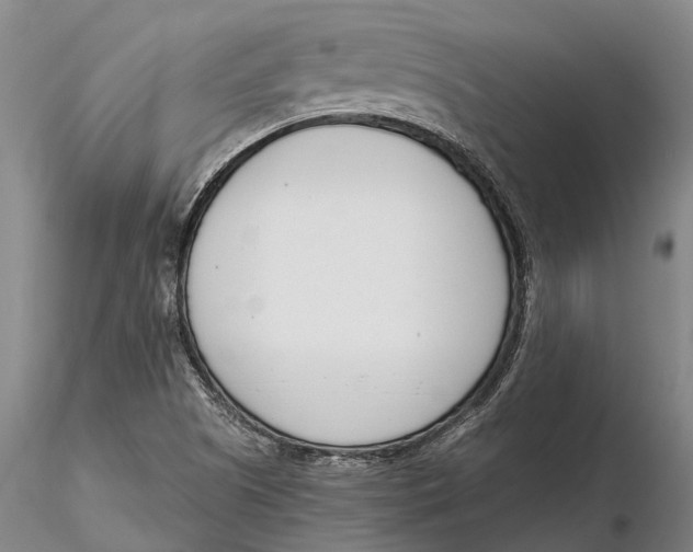 X0000116151505200912141144