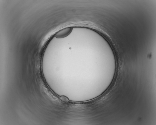 X0000116151506200912141144