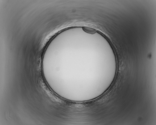 X0000116151507200912141145