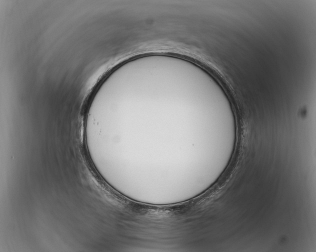 X0000116151509200912141145