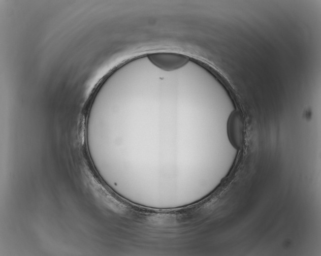 X0000116151510200912141145