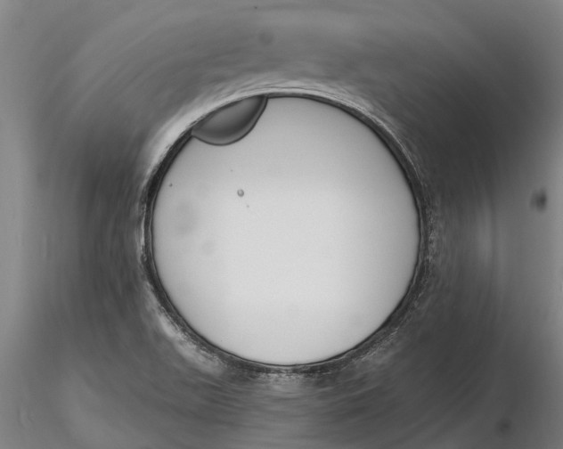 X0000116151511200912141145