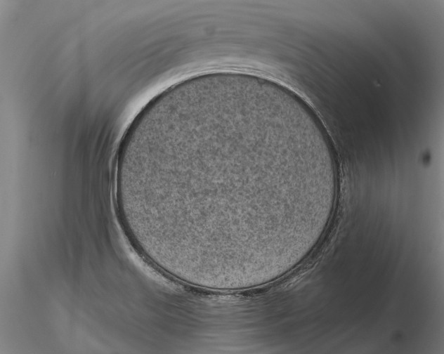 X0000116151515200912141145