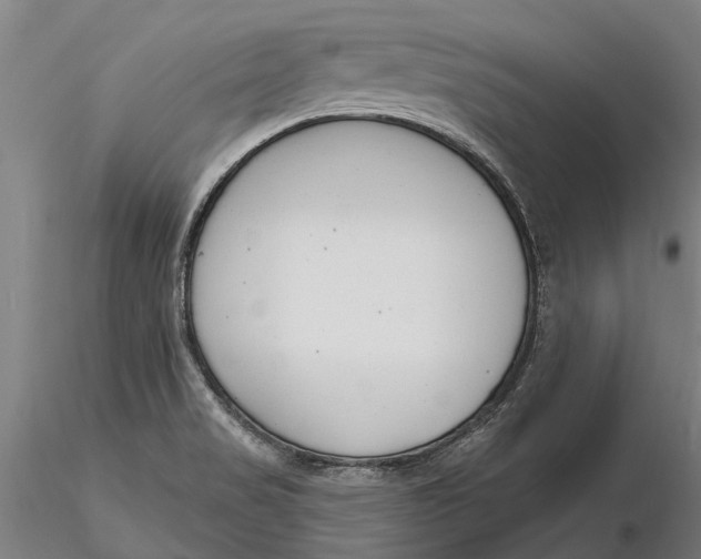 X0000116151517200912141145