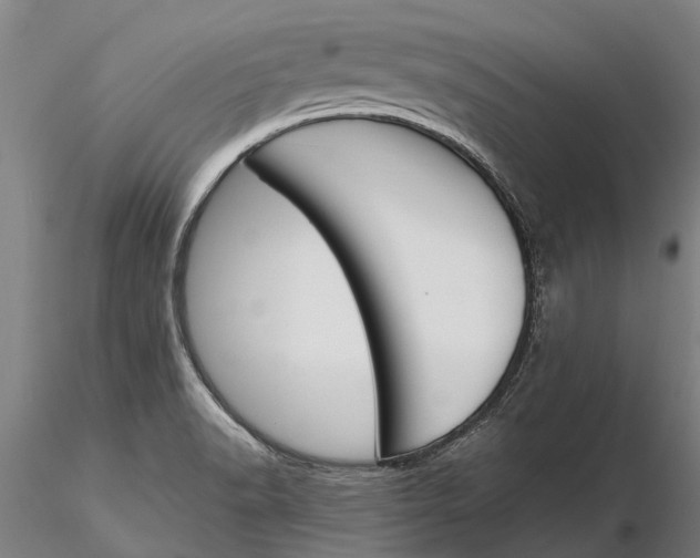 X0000116151518200912141145