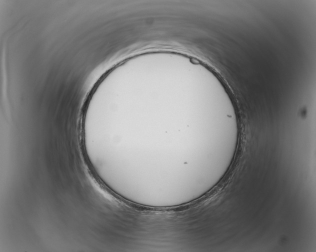 X0000116151519200912141145