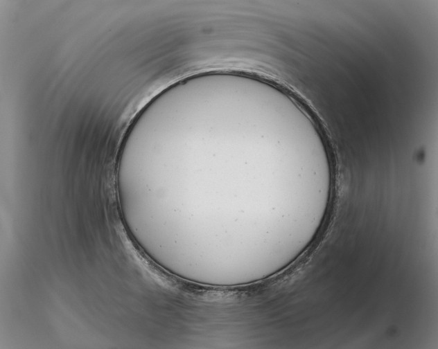 X0000116151521200912141145