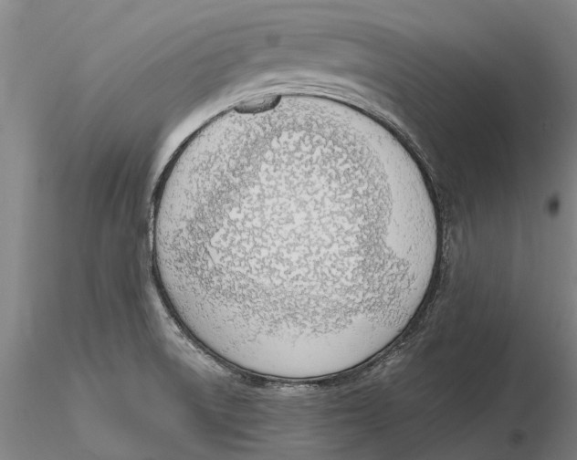 X0000116151522200912141145