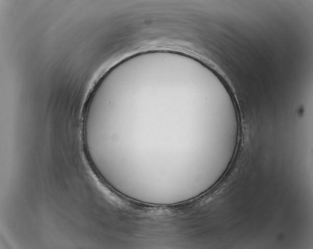 X0000116151525200912141145