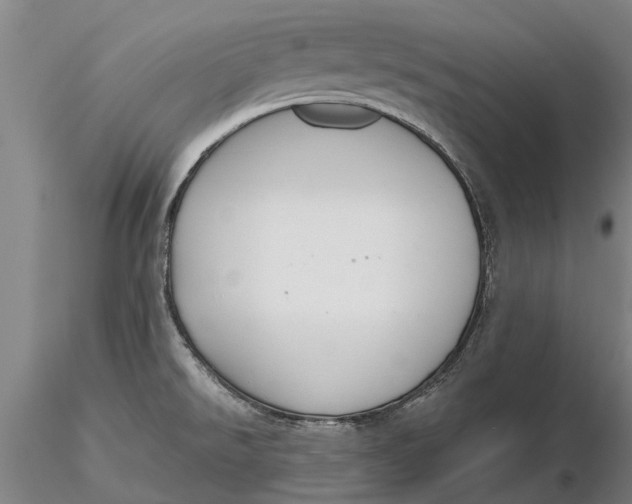 X0000116151526200912141145