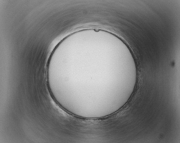 X0000116151527200912141145