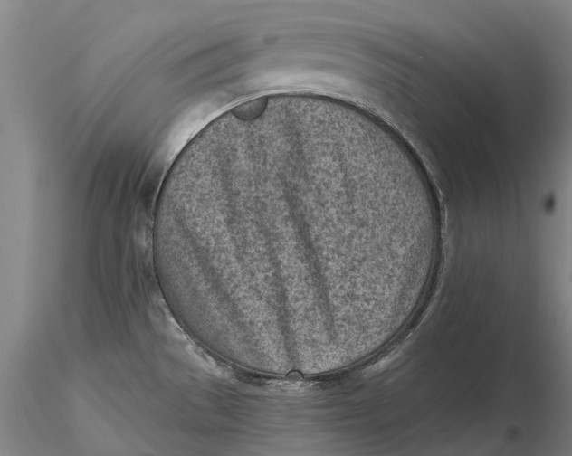 X0000116151529200912141145