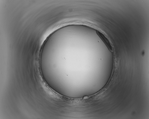 X0000116151530200912141145