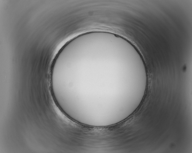 X0000116151531200912141145