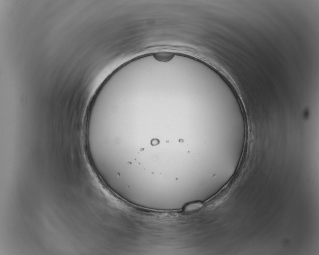 X0000116151533200912141145