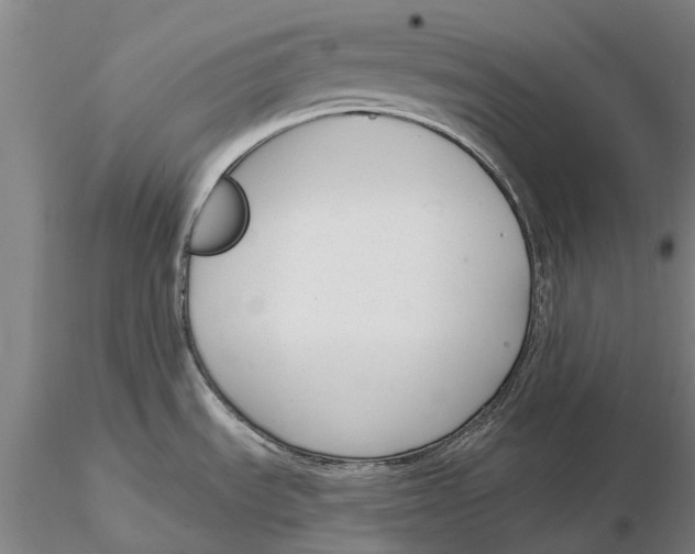 X0000116151535200912141145