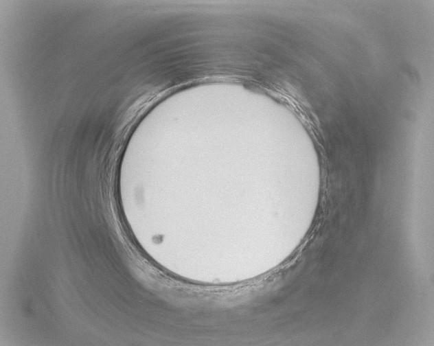 X0000116150001200912211518