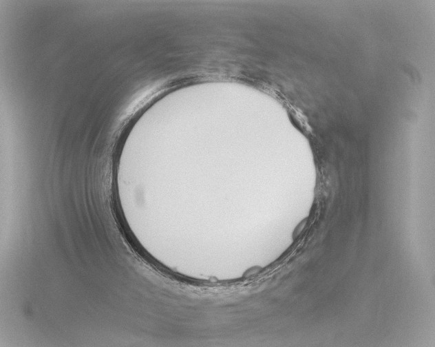 X0000116150005200912211518