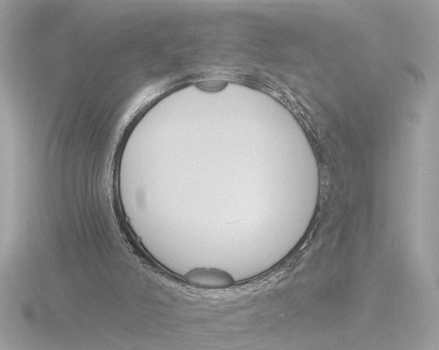 X0000116150006200912211518