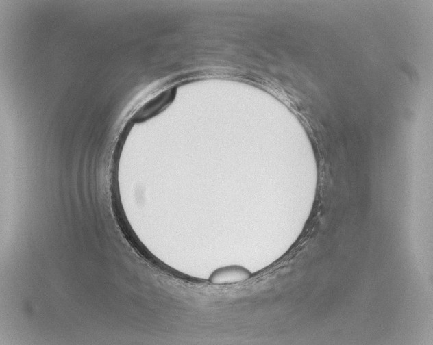 X0000116150007200912211518