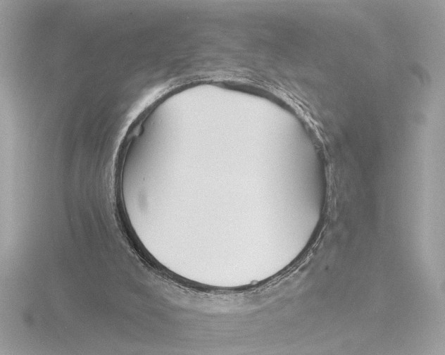 X0000116150008200912211518