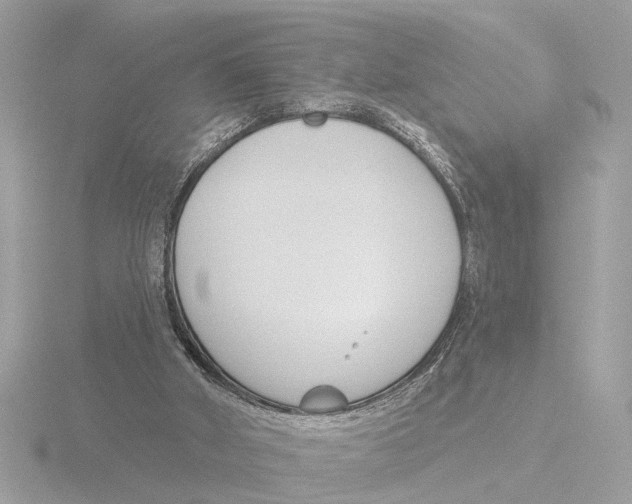 X0000116150010200912211518