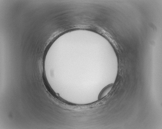 X0000116150011200912211517