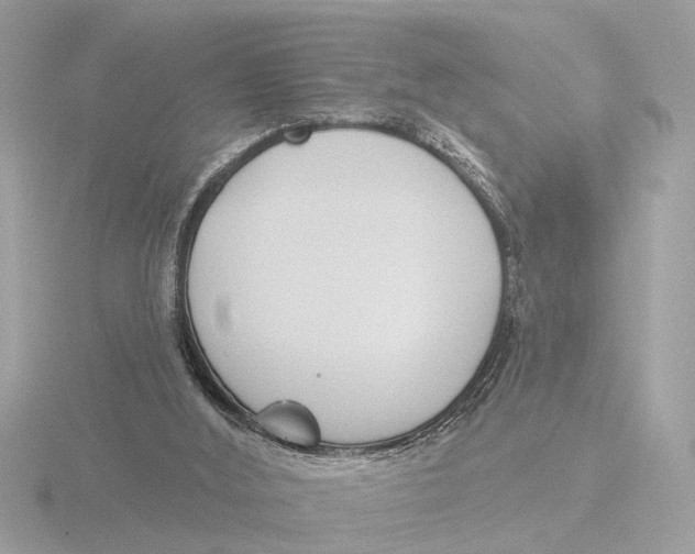 X0000116150012200912211517