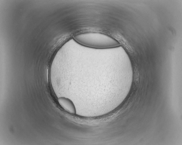 X0000116150014200912211517