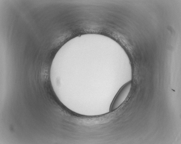 X0000116150017200912211517