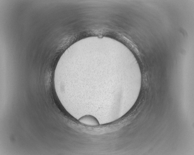 X0000116150018200912211517