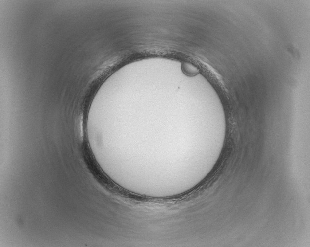 X0000116150020200912211517