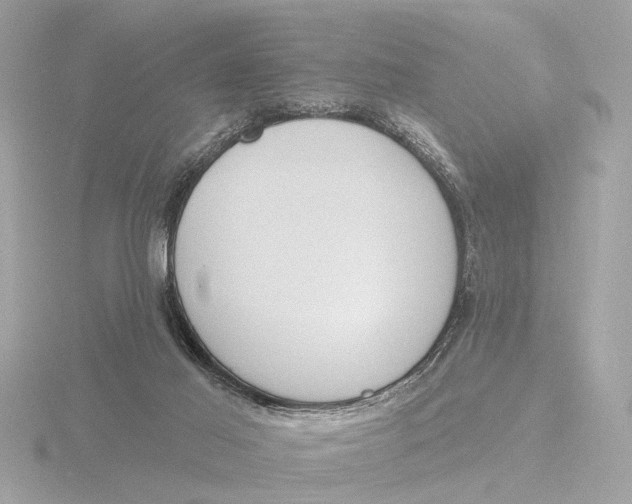 X0000116150021200912211517