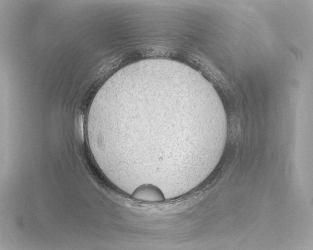 X0000116150022200912211517