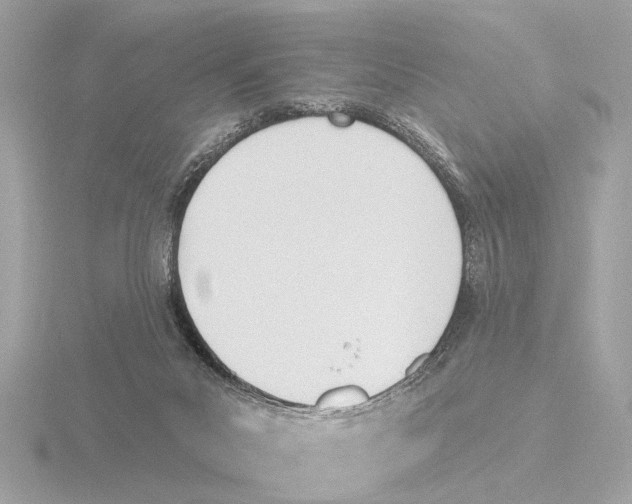 X0000116150023200912211517