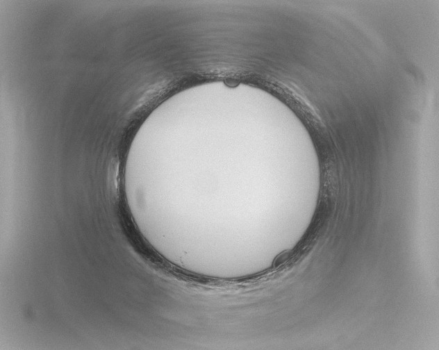 X0000116150024200912211517