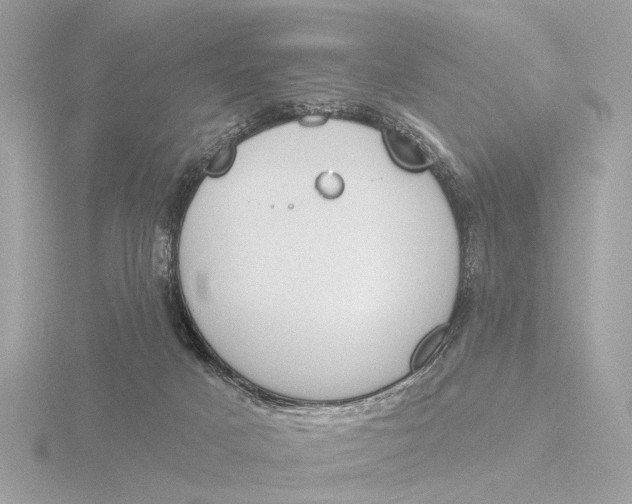 X0000116150025200912211517