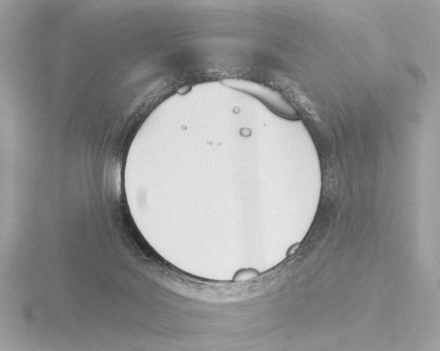 X0000116150027200912211517