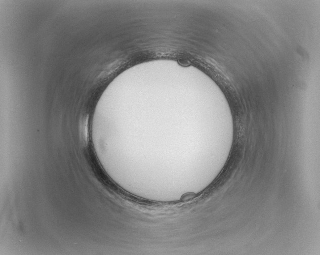 X0000116150028200912211517