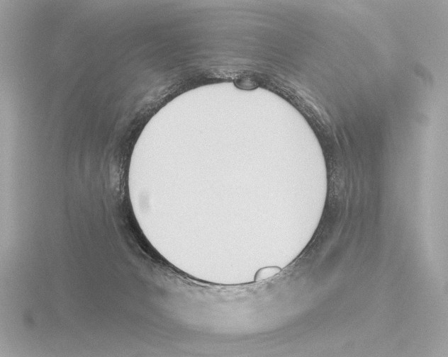 X0000116150031200912211517