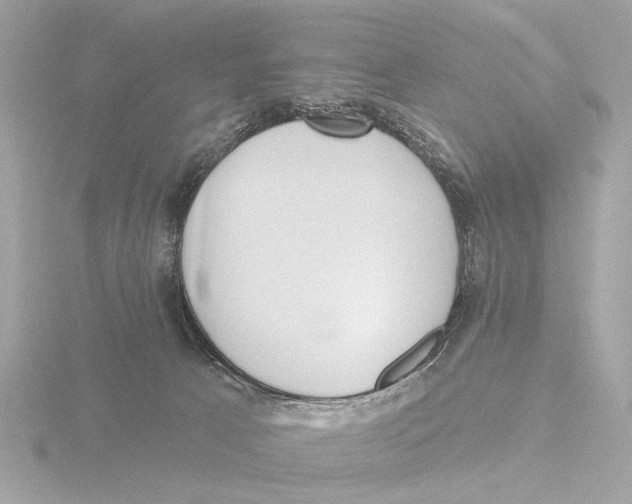 X0000116150033200912211517