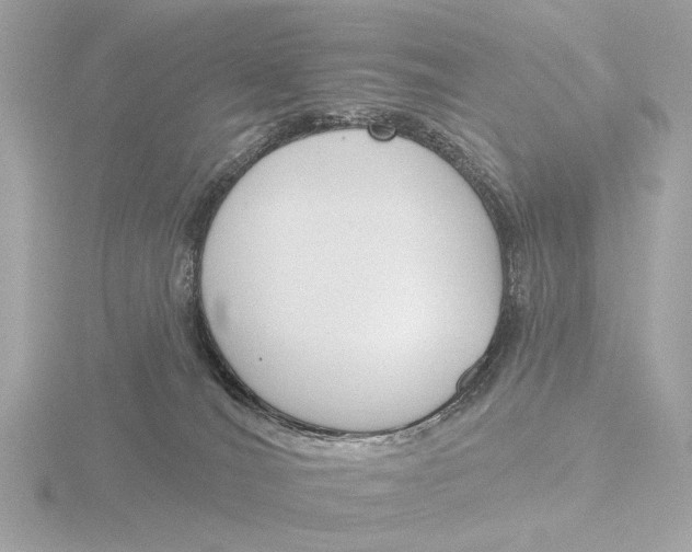 X0000116150036200912211517