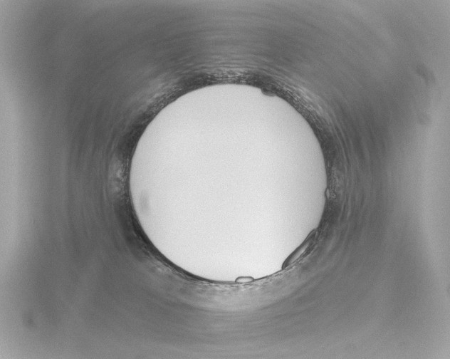 X0000116150037200912211517