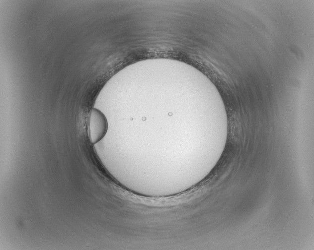 X0000116150038200912211517