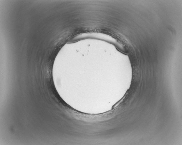 X0000116150039200912211517