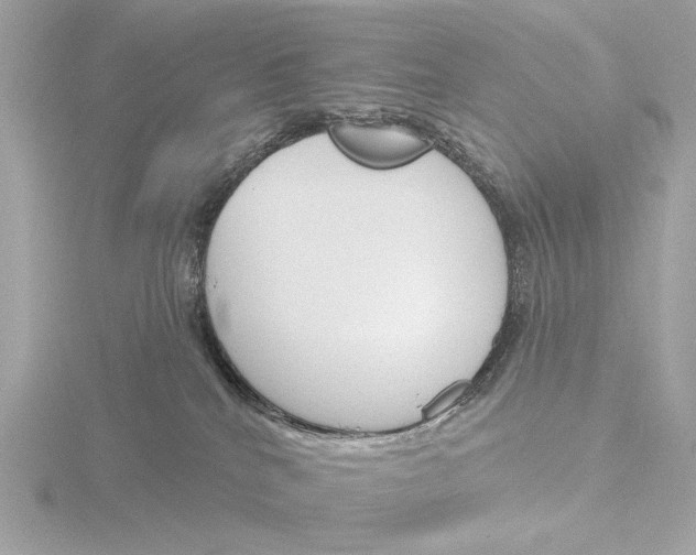 X0000116150040200912211517