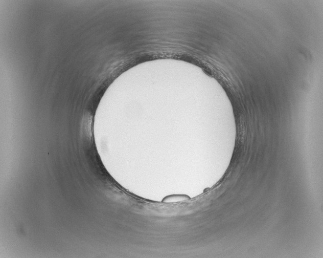 X0000116150041200912211517