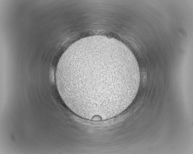 X0000116150042200912211517