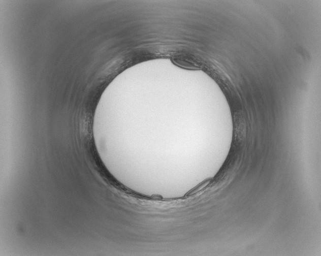 X0000116150044200912211517