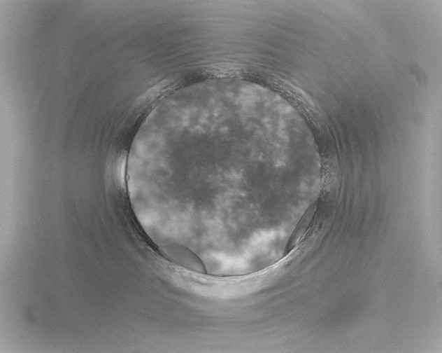 X0000116150047200912211517